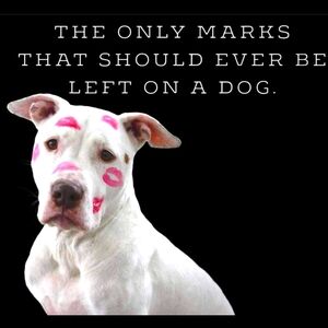 Mistery Box!!! Everything's NWT!!!